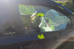 IMG-20260426-WA0003
