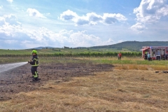 20190720  Flurbrand Pfaffstätten  Foto: Stefan Schneider