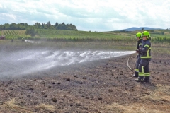 20190720  Flurbrand Pfaffstätten  Foto: Stefan Schneider