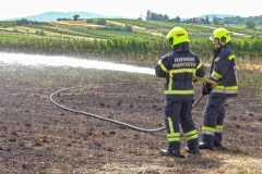 20190720  Flurbrand Pfaffstätten  Foto: Stefan Schneider