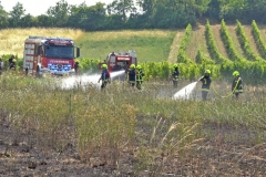 20190720  Flurbrand Pfaffstätten  Foto: Stefan Schneider