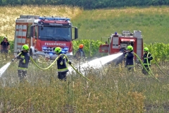 20190720  Flurbrand Pfaffstätten  Foto: Stefan Schneider