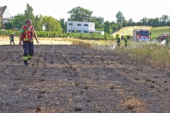 20190720  Flurbrand Pfaffstätten  Foto: Stefan Schneider