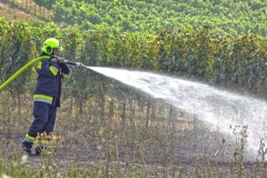 20190720  Flurbrand Pfaffstätten  Foto: Stefan Schneider