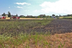 20190720  Flurbrand Pfaffstätten  Foto: Stefan Schneider