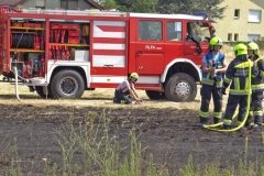 20190720  Flurbrand Pfaffstätten  Foto: Stefan Schneider