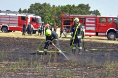 20190720  Flurbrand Pfaffstätten  Foto: Stefan Schneider