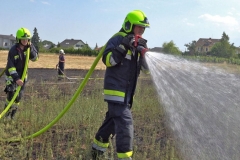 20190720  Flurbrand Pfaffstätten  Foto: Stefan Schneider