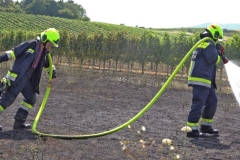 20190720  Flurbrand Pfaffstätten  Foto: Stefan Schneider