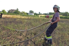 20190720  Flurbrand Pfaffstätten  Foto: Stefan Schneider