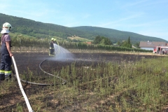 20190720  Flurbrand Pfaffstätten  Foto: Stefan Schneider