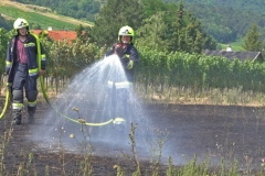 20190720  Flurbrand Pfaffstätten  Foto: Stefan Schneider