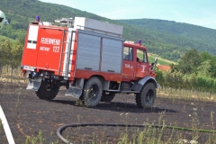 20190720  Flurbrand Pfaffstätten  Foto: Stefan Schneider