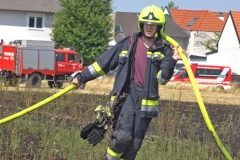 20190720  Flurbrand Pfaffstätten  Foto: Stefan Schneider