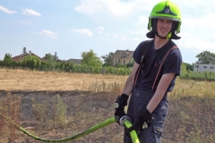 20190720  Flurbrand Pfaffstätten  Foto: Stefan Schneider