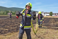 20190720  Flurbrand Pfaffstätten  Foto: Stefan Schneider