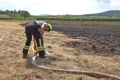 20190720  Flurbrand Pfaffstätten  Foto: Stefan Schneider