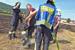 20190720  Flurbrand Pfaffstätten  Foto: Stefan Schneider