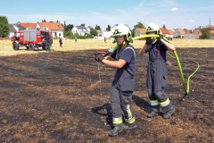 20190720  Flurbrand Pfaffstätten  Foto: Stefan Schneider