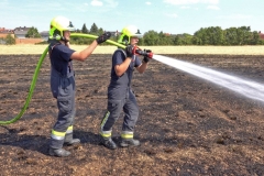 20190720  Flurbrand Pfaffstätten  Foto: Stefan Schneider