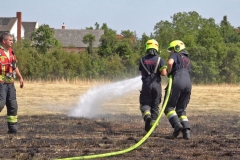 20190720  Flurbrand Pfaffstätten  Foto: Stefan Schneider