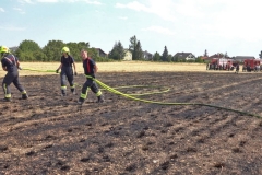 20190720  Flurbrand Pfaffstätten  Foto: Stefan Schneider