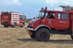 20190720  Flurbrand Pfaffstätten  Foto: Stefan Schneider