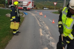 WhatsApp-Image-2019-10-09-at-10.04.131