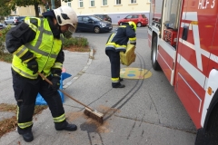 WhatsApp-Image-2019-10-09-at-10.04.23