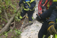 WhatsApp-Image-2019-10-03-at-16.23.14