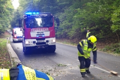 WhatsApp-Image-2019-10-03-at-16.23.26