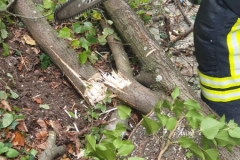 WhatsApp-Image-2019-10-03-at-16.23.27