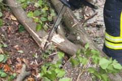 WhatsApp-Image-2019-10-03-at-16.23.271