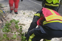 WhatsApp-Image-2019-10-03-at-16.23.272