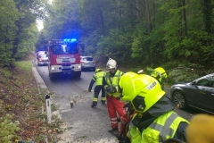 WhatsApp-Image-2019-10-03-at-16.23.28