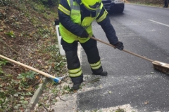 WhatsApp-Image-2019-10-03-at-16.23.29