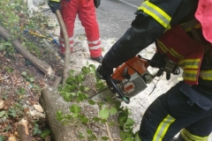 WhatsApp-Image-2019-10-03-at-16.23.291