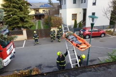 WhatsApp-Image-2019-11-23-at-12.45.202