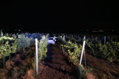 WhatsApp-Image-2020-07-12-at-00.36.28-1