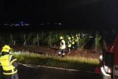 WhatsApp-Image-2020-07-12-at-00.36.30