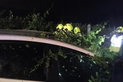 WhatsApp-Image-2020-07-12-at-01.06.23