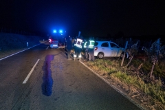 20191014 Wildunfall auf der Weinbergstraße in Pfaffstätten
