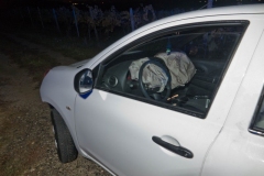 20191014 Wildunfall auf der Weinbergstraße in Pfaffstätten