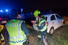 20191014 Wildunfall auf der Weinbergstraße in Pfaffstätten