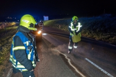 20191014 Wildunfall auf der Weinbergstraße in Pfaffstätten