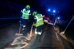 20191014 Wildunfall auf der Weinbergstraße in Pfaffstätten