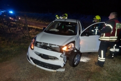 20191014 Wildunfall auf der Weinbergstraße in Pfaffstätten