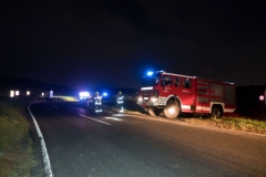 20191014 Wildunfall auf der Weinbergstraße in Pfaffstätten