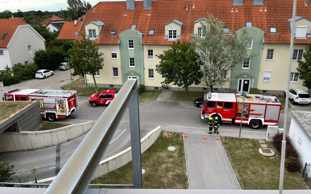 STURMEINSÄTZE