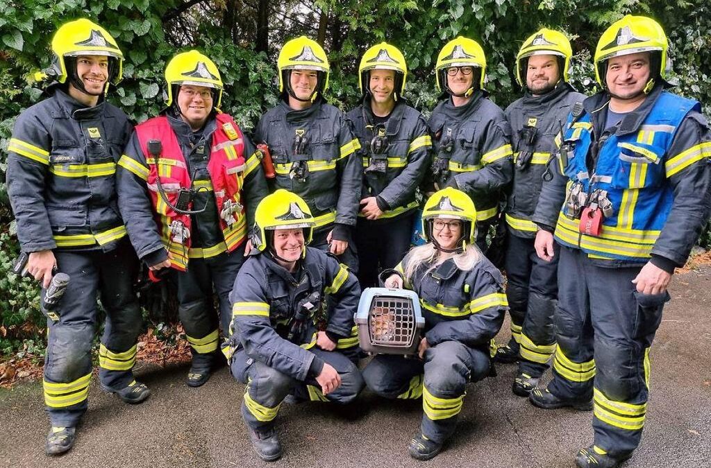 Kater CarLo gerettet